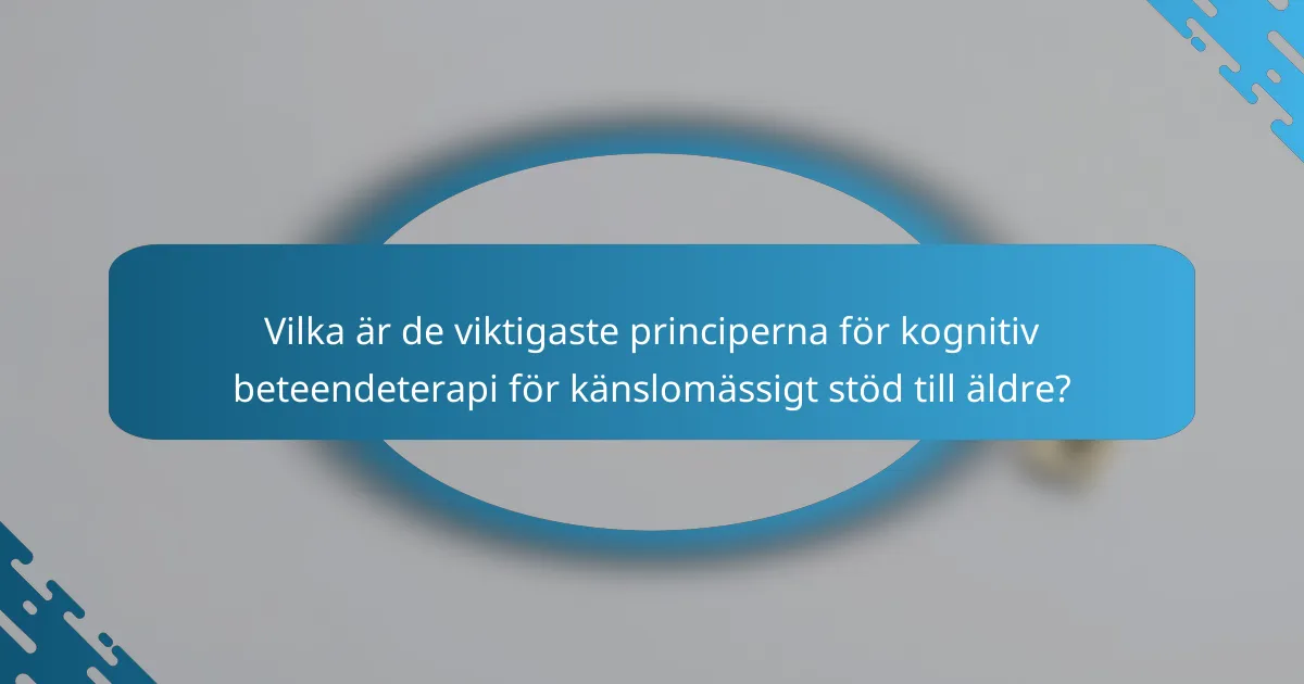 Vilka är de viktigaste principerna för kognitiv beteendeterapi för känslomässigt stöd till äldre?